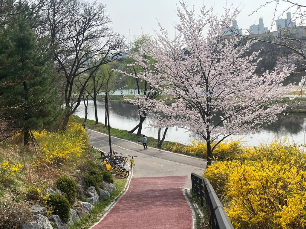 The certainty of spring